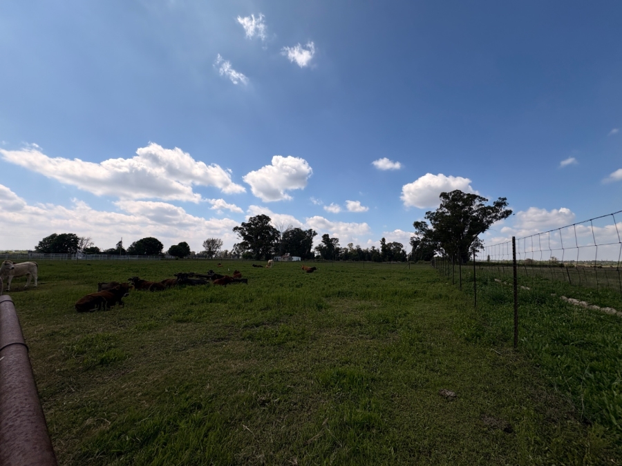 Commercial Property for Sale in Klerksdorp Rural North West